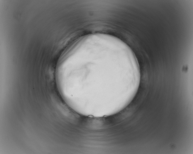 X0000113760282200910211216