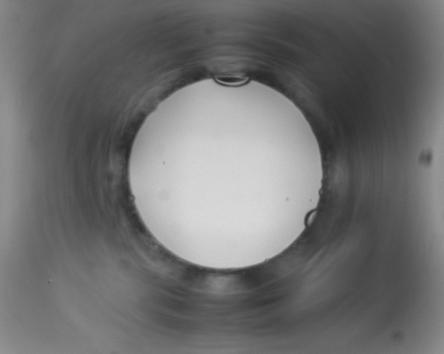 X0000113760283200910211216