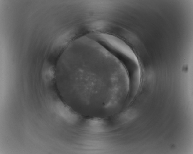 X0000113760284200910211216