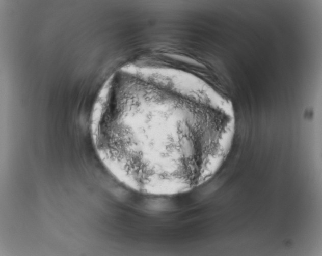 X0000113760285200910211216