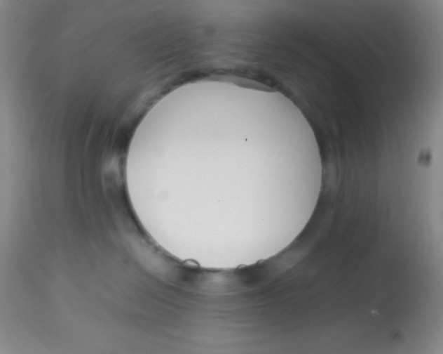 X0000113760286200910211216