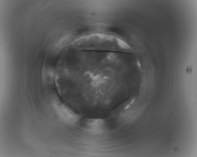 X0000113760288200910211216