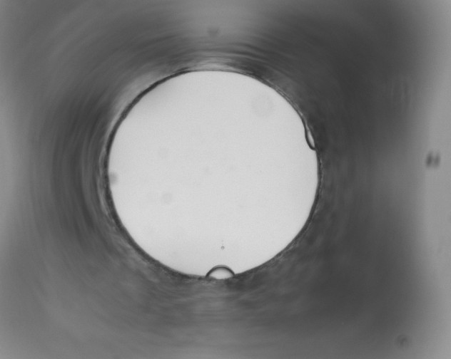 X0000113760289200910211216