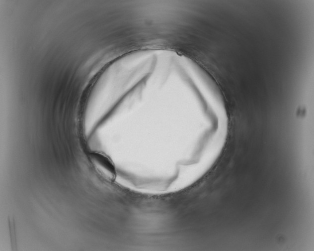X0000113760290200910211216