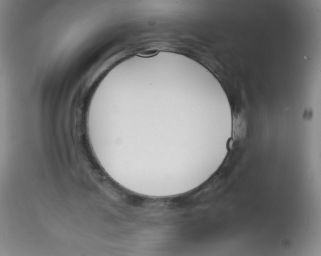 X0000113760291200910211216