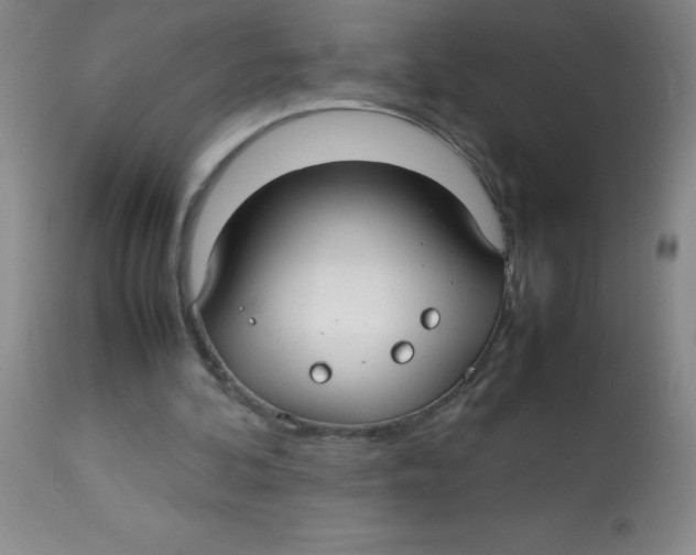 X0000113760292200910211216