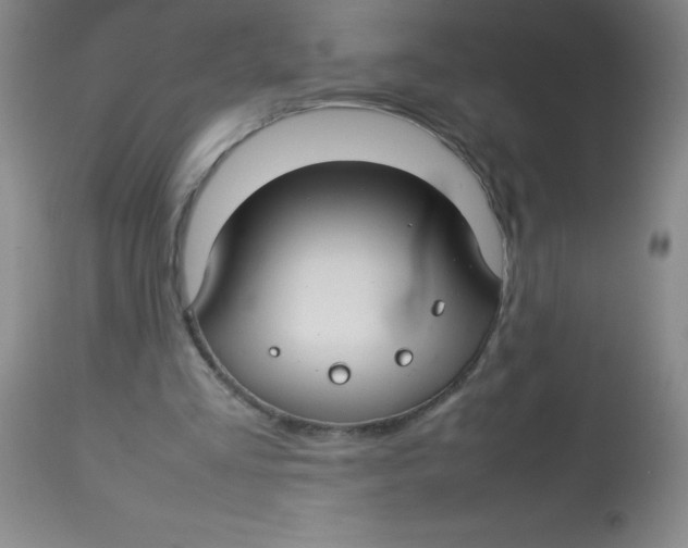 X0000113760293200910211216