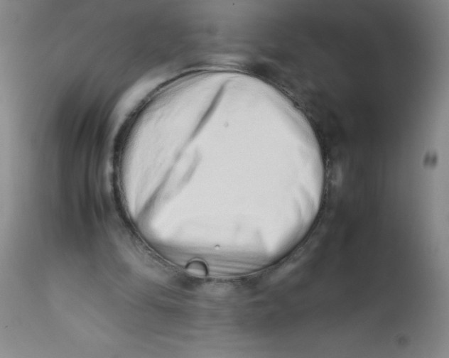 X0000113760294200910211216
