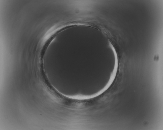 X0000113760295200910211216