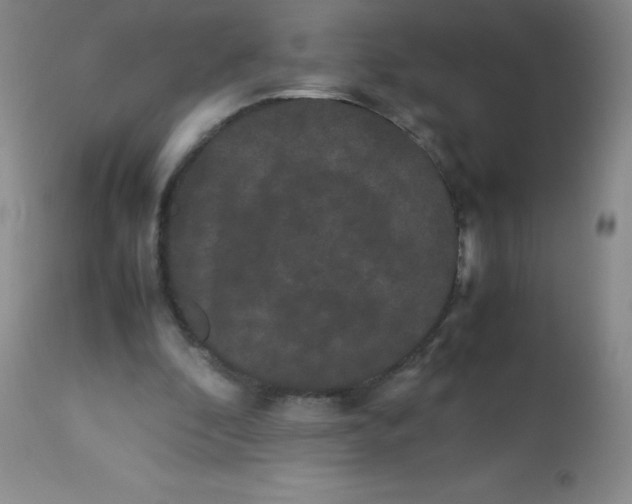 X0000113760296200910211216