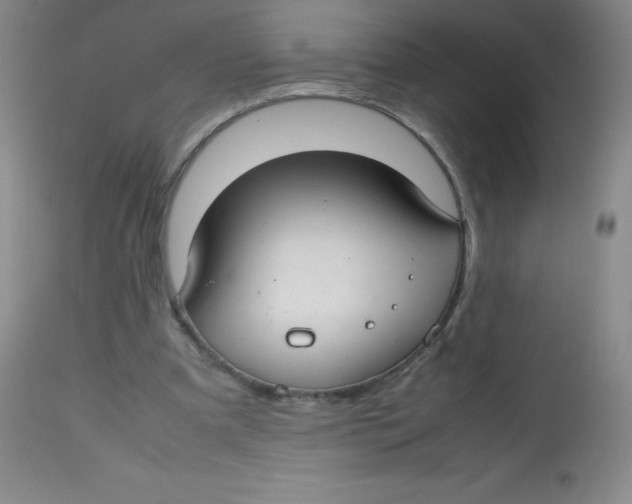 X0000113760297200910211216