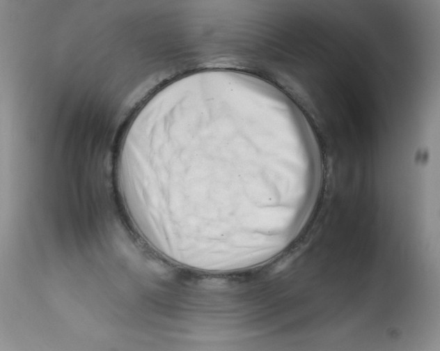 X0000113760298200910211216