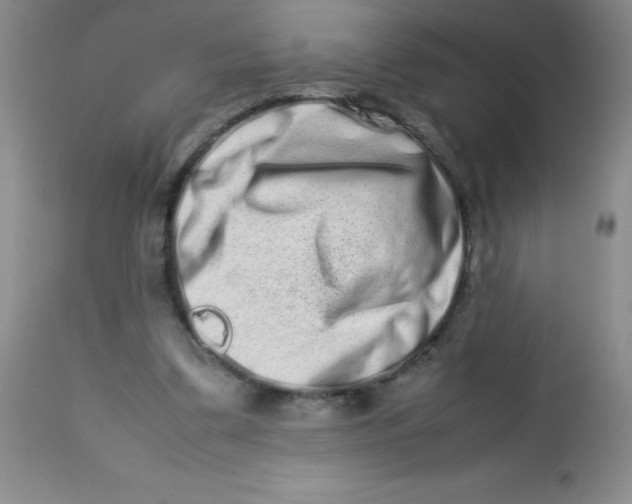 X0000113760299200910211216