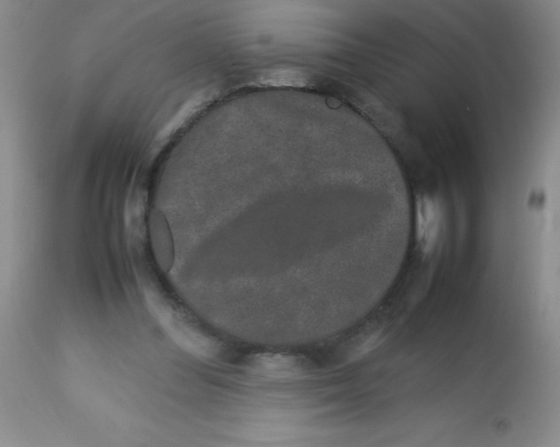 X0000113760300200910211215