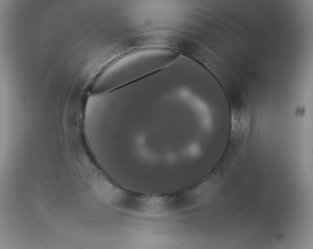 X0000113760301200910211215