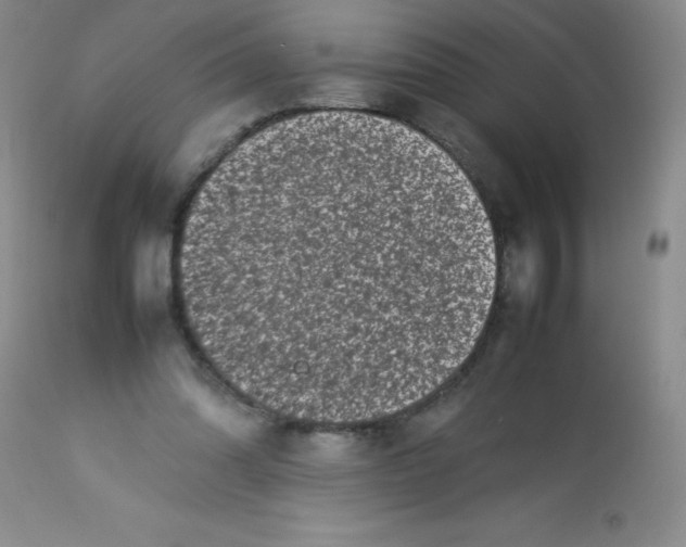 X0000113760302200910211215