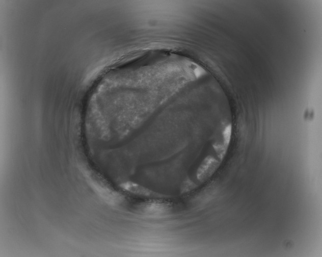 X0000113760303200910211215