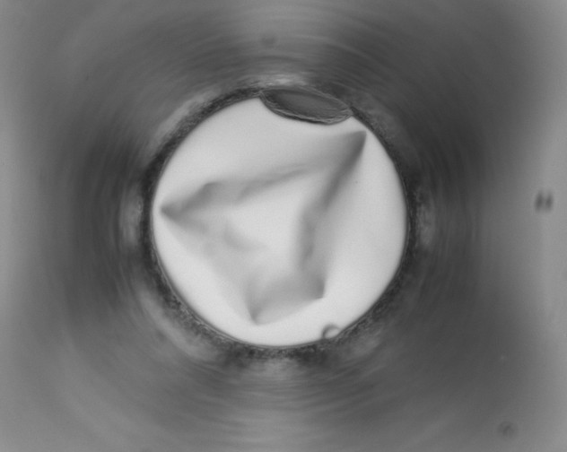 X0000113760304200910211215