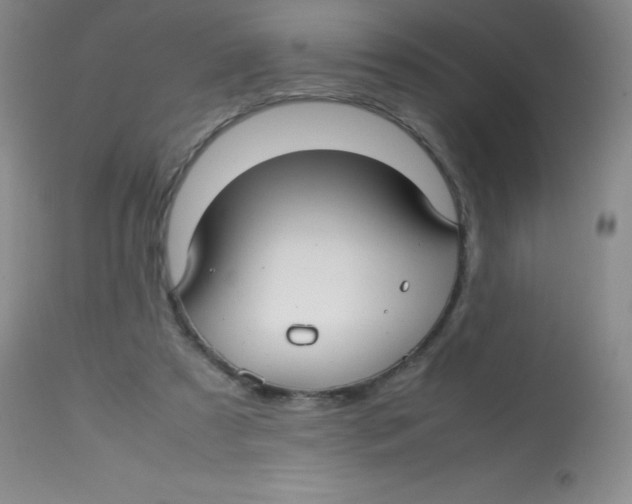 X0000113760305200910211215