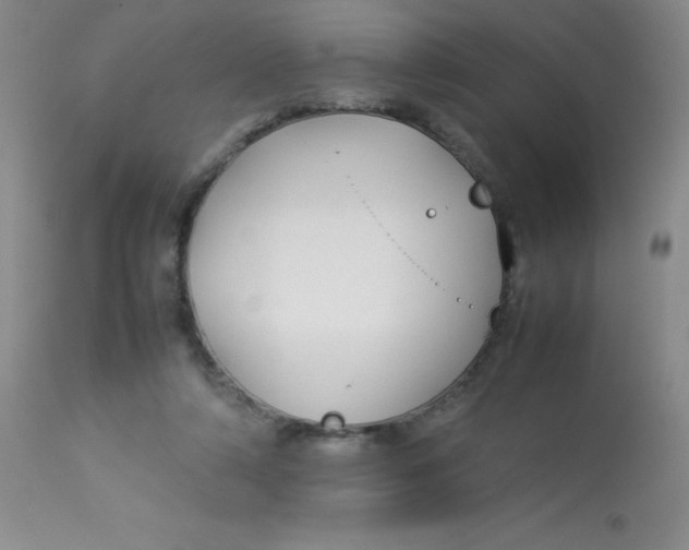 X0000113760306200910211215