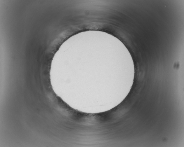 X0000113760307200910211215