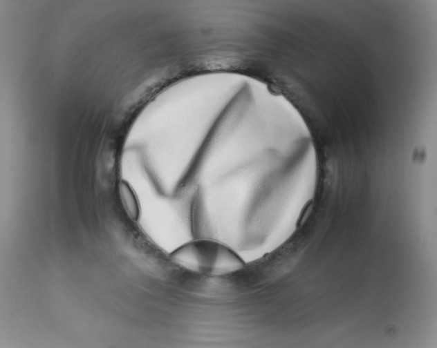 X0000113760308200910211215