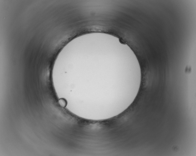 X0000113760310200910211215