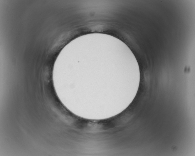 X0000113760311200910211215