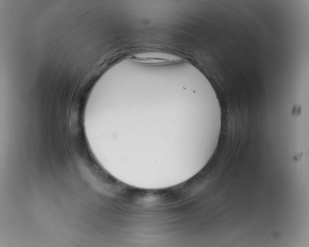 X0000113760312200910211215