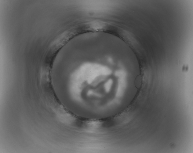 X0000113760313200910211215