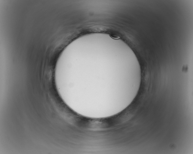 X0000113760315200910211215