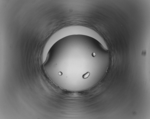 X0000113760316200910211215