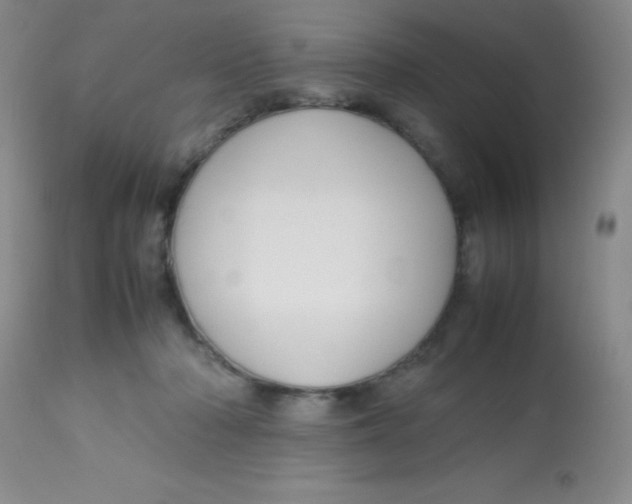 X0000113760318200910211215