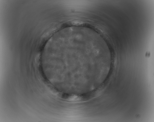 X0000113760319200910211215