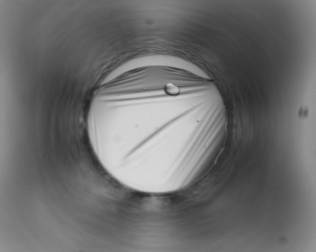 X0000113760320200910211215