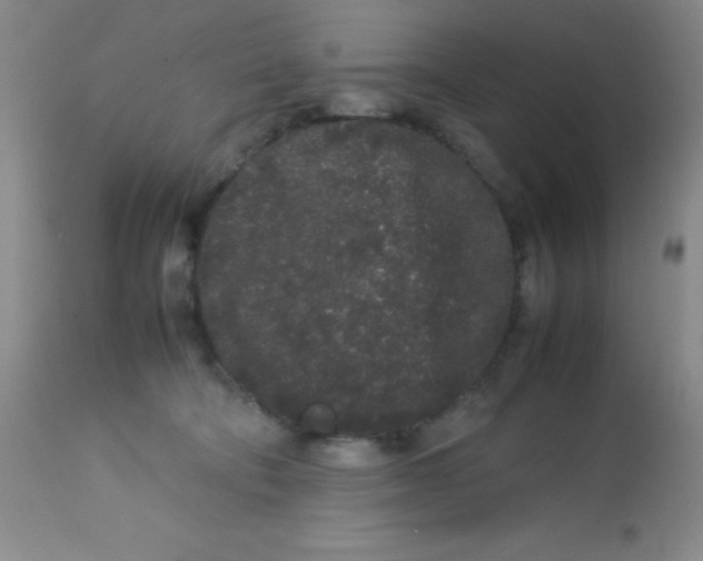 X0000113760322200910211215