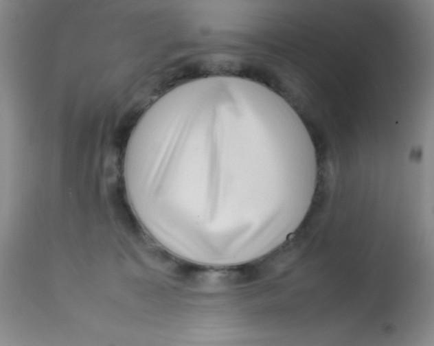 X0000113760323200910211215