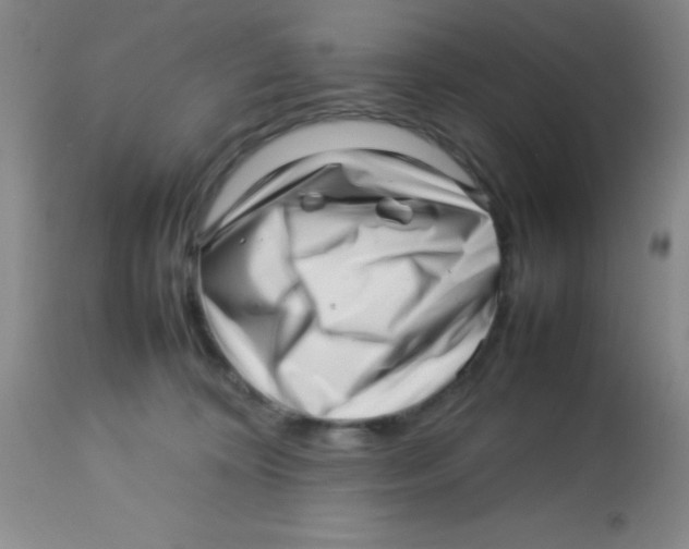 X0000113760324200910211215