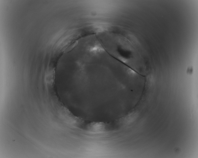 X0000113760325200910211215