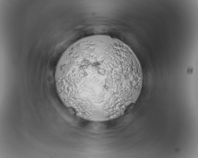 X0000113760327200910211215