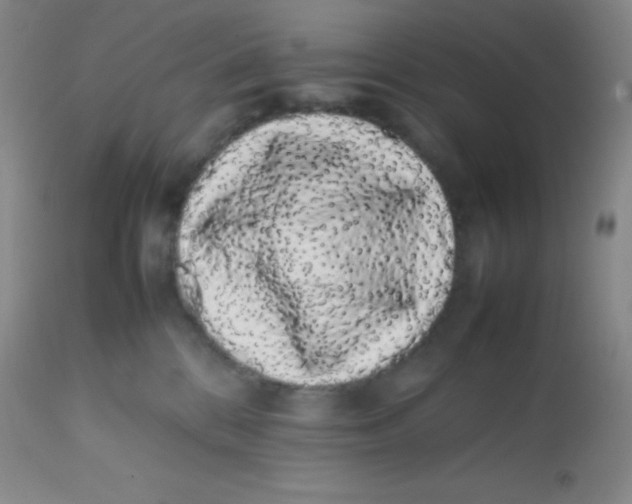X0000113760328200910211215