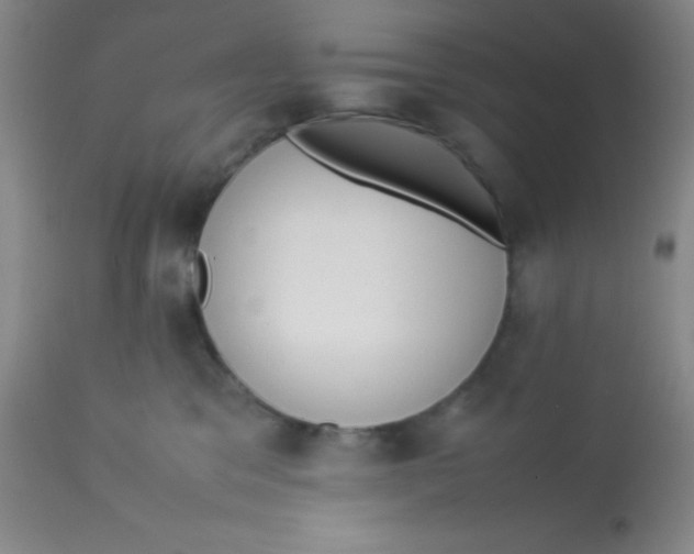 X0000113760329200910211215