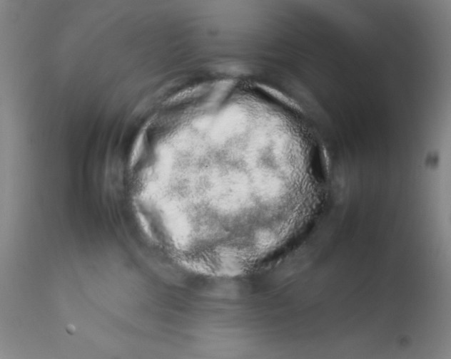 X0000113760330200910211215