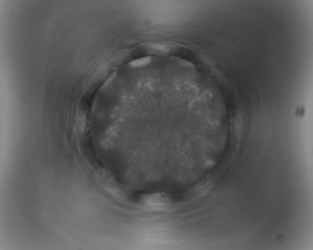 X0000113760331200910211215