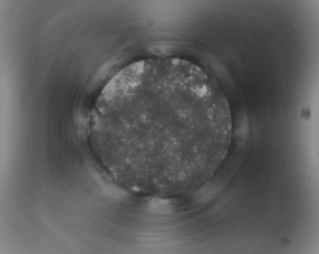 X0000113760332200910211215