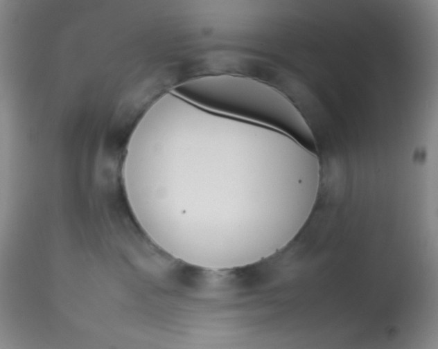 X0000113760333200910211215