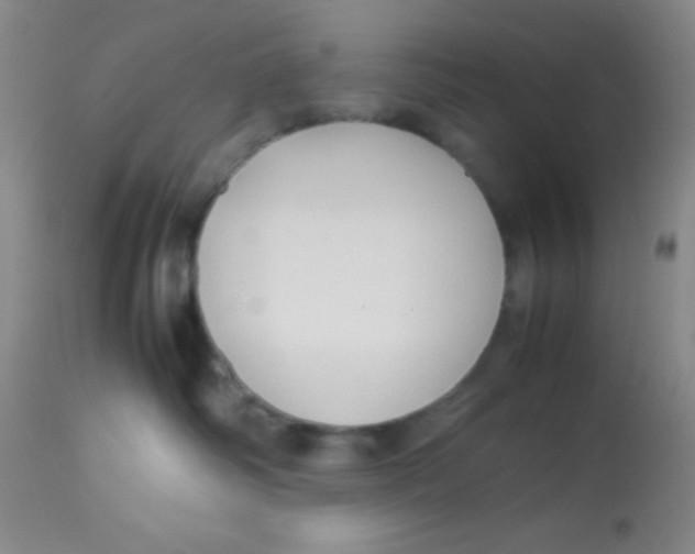 X0000113760334200910211215