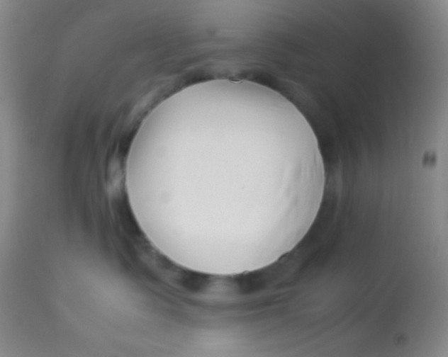 X0000113760335200910211215