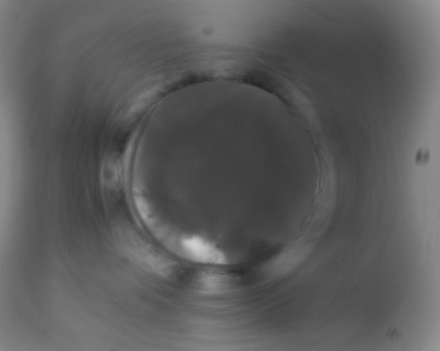 X0000113760336200910211215