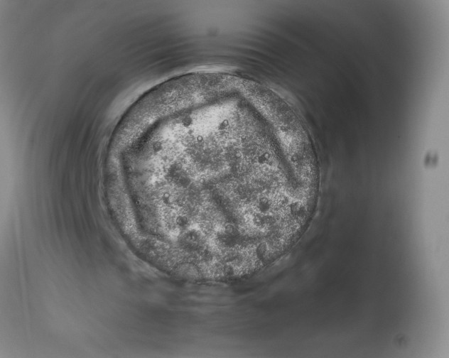 X0000113760337200910211214